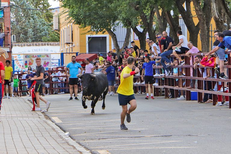 Almodóvar del Campo recupera sus tradicionales Encierros