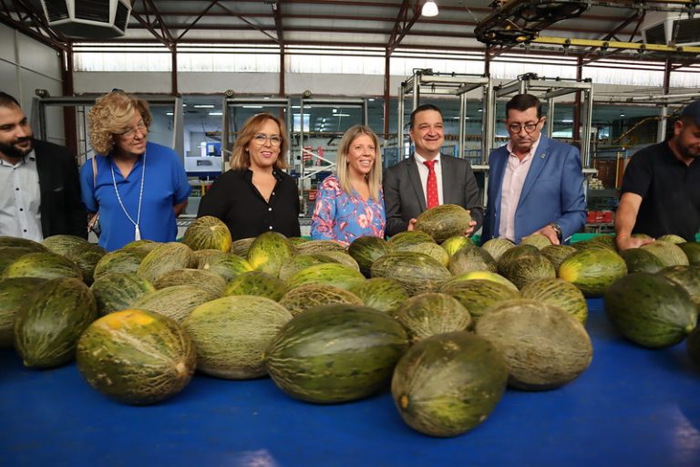El Gobierno regional relanzará la Interprofesional del Melón y la Sandía para que tenga más atribuciones y gestione la marca de calidad IGP ‘Melón de la Mancha’