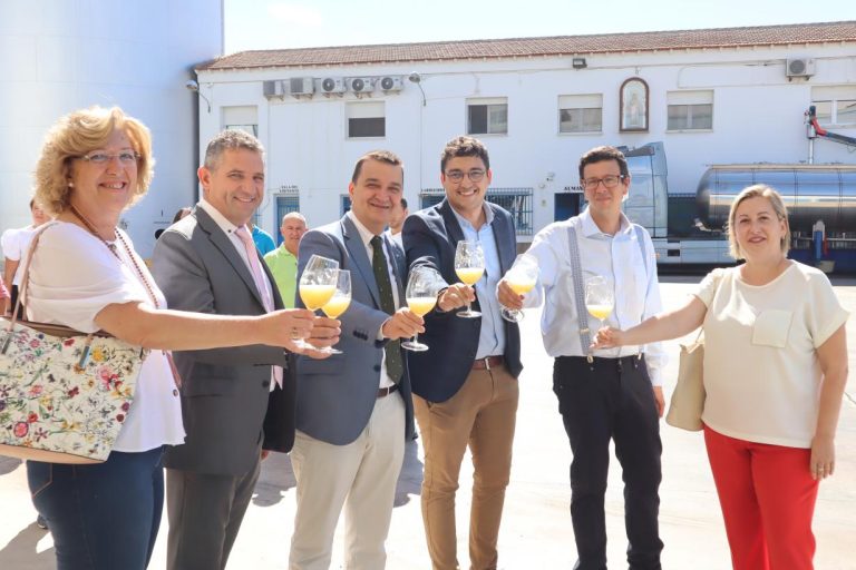 El Gobierno de Castilla-La Mancha estima una campaña de vendimia más corta, por debajo de 20 millones de hectolitros de vino y mosto, y rentable para todos