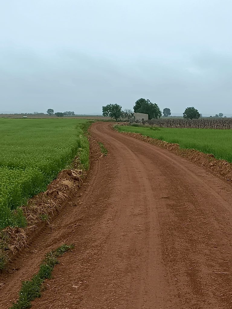El Ayuntamiento de Torralba de Calatrava continúa con el arreglo de caminos rurales