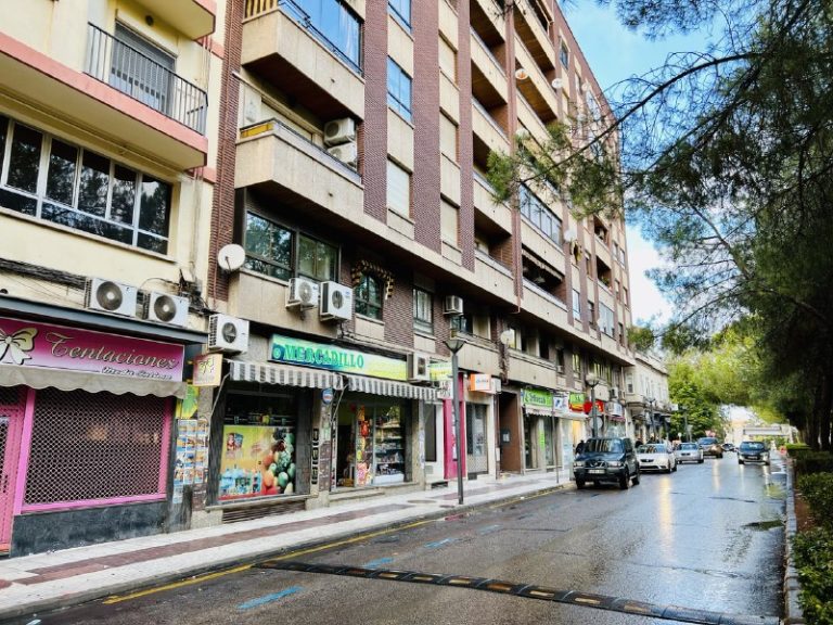 La catedrática Cañizares defiende la semipeatonalización del Paseo del Bosque de Puertollano: «Será tremendamente positivo para ciudadanos y comercios»