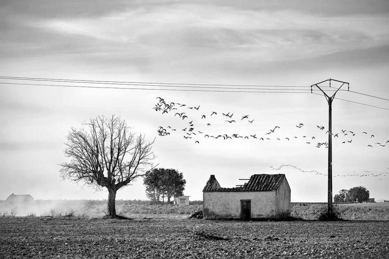 Antonio Atanasio, premio a la mejor fotografía en el concurso “Arquitectura silenciosa”