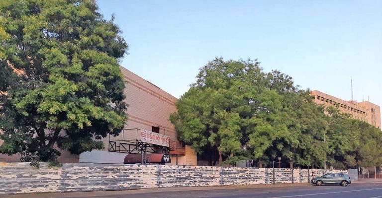 La Asociación Vecinal de Camino de La Guija, en contra de la tala de la arboleda de Zoco Real