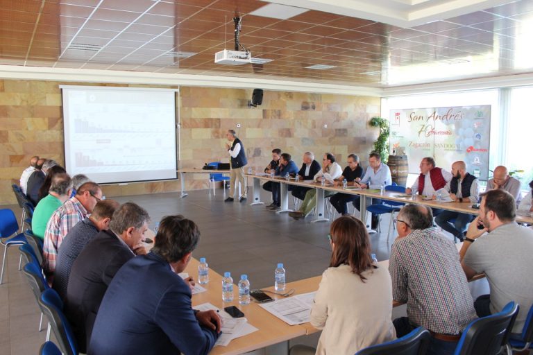 Cooperativas Agro-alimentarias hace balance de la campaña de la vendimia en Castilla-La Mancha con una cosecha de casi 20 millones de hl de vino y mosto