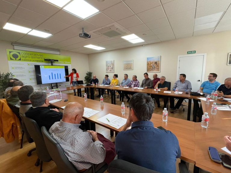 Cooperativas Agro-alimentarias prevé una cosecha de aceituna en Castilla-La Mancha un 25% inferior a la del pasado año