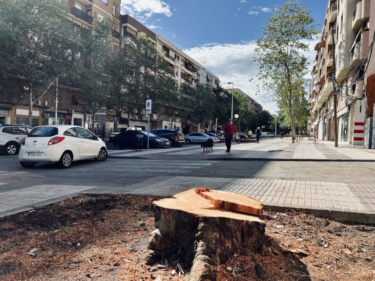 Podemos denuncia el «incumplimiento» de la Ordenanza de Medio Ambiente por el Ayuntamiento de Puertollano
