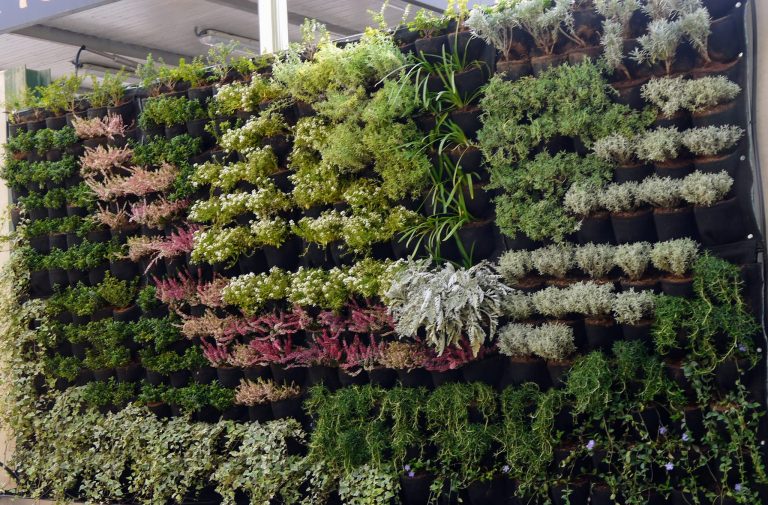 Un nuevo jardín vertical en Ciudad Real