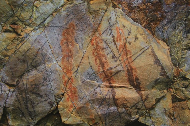 Puertollano: El arte más antiguo de Sierra Madrona, en una exposición de las pinturas rupestres de la comarca