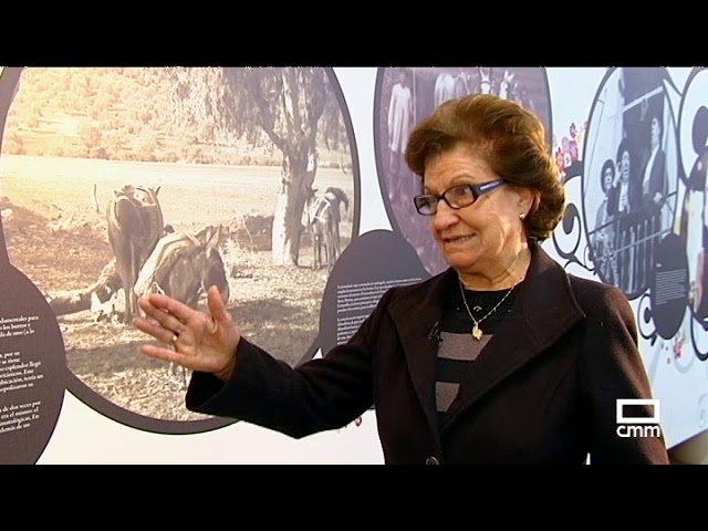 La ‘I Charla-Coloquio El trenillo de la Calzá’, celebrada en Argamasilla de Calatrava, puso en valor el pasado, presente y futuro del histórico recorrido ferroviario
