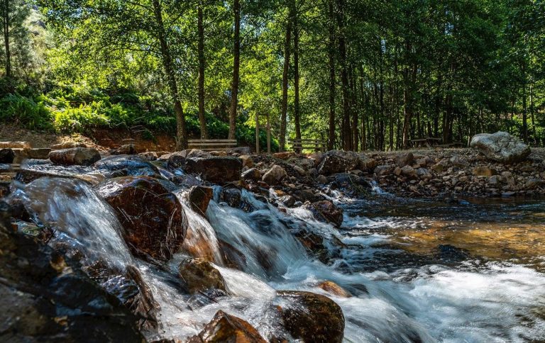La Confederación Hidrográfica del Guadiana mejora la sección de Calidad y Estado de las Masas de Agua en su Web