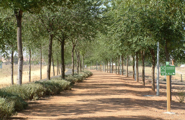 El Ayuntamiento de Ciudad Real invertirá casi 150.000 euros en la mejora de la iluminación de la vía verde