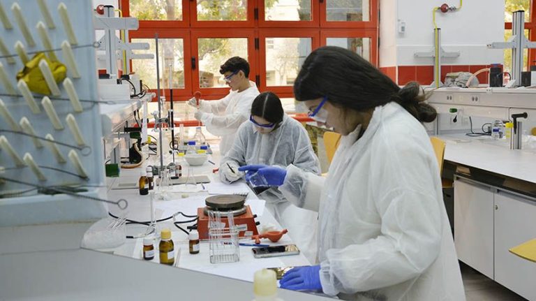 La Facultad de Ciencias y Tecnologías Químicas de la UCLM celebra una jornada de extensión universitaria con la sociedad