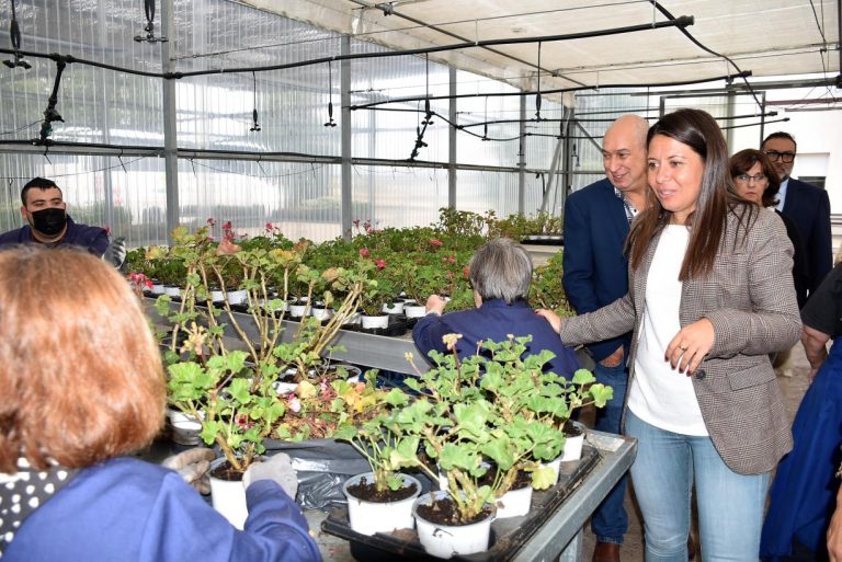 El Gobierno regional atiende a más de 1.600 familias con personas con discapacidad intelectual a través de 53 recursos especializados en colaboración con ayuntamientos y entidades locales