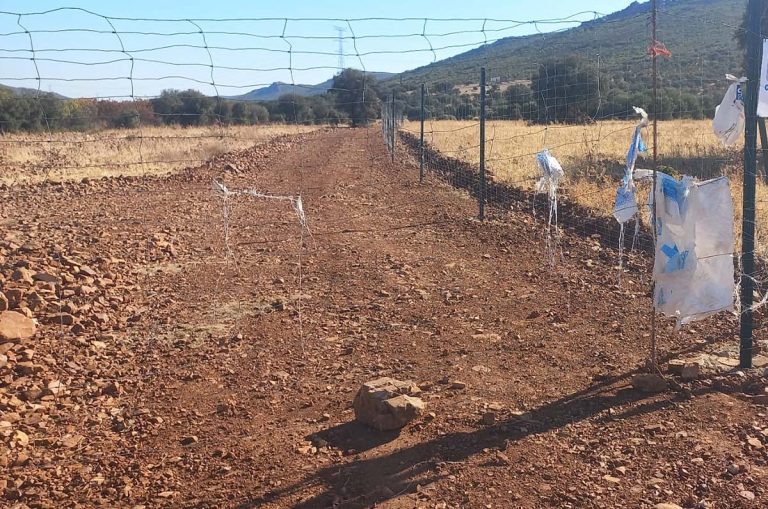 Izquierda Unida de Argamasilla de Calatrava, sorprendida por el corte del nuevo tramo de la Vía del Trenillo