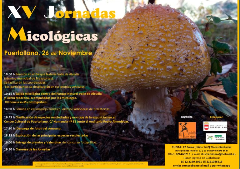 Puertollano: Salida micológica y concurso fotográfico en las XV jornadas de «El Ilustre Minero»