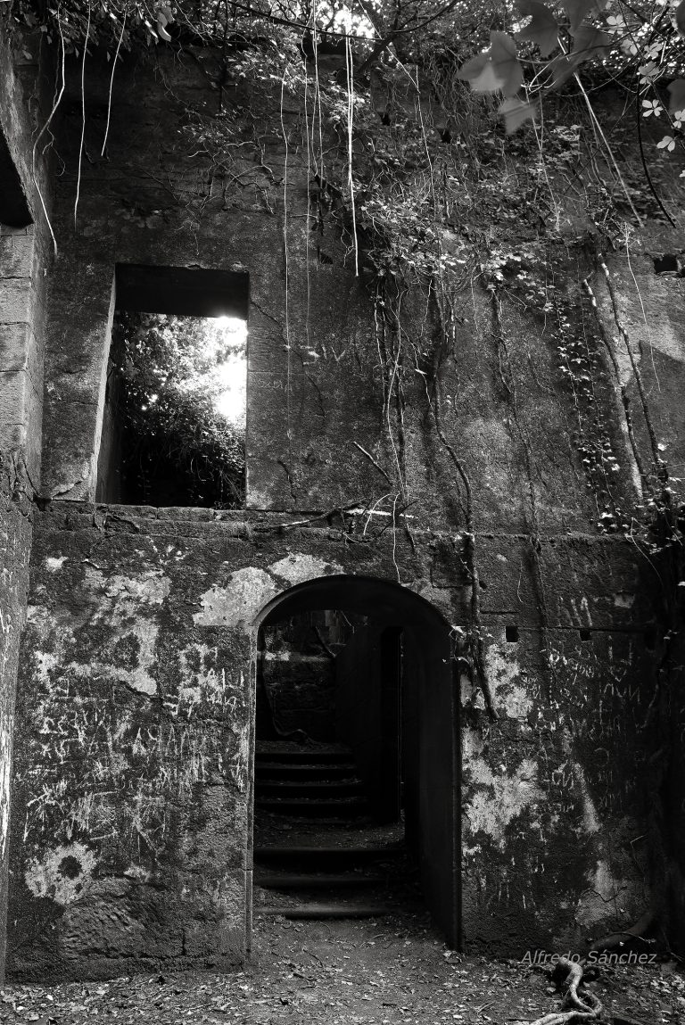 Un lugar para la luz