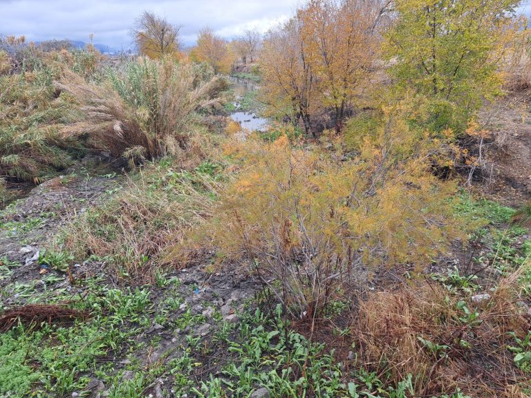 Puertollano: El río Ojailén, medidor de lluvias