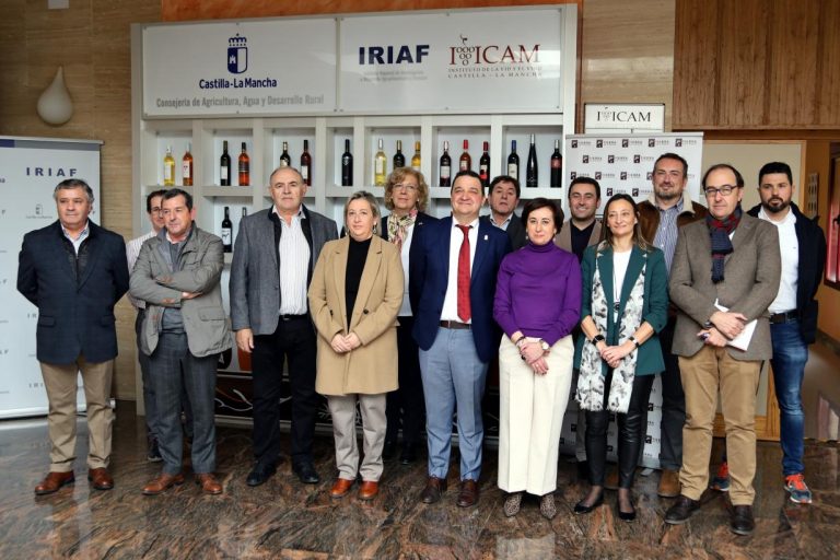 El Gobierno regional ordena el pago de 2,6 millones de euros para 258 viticultores por reestructuración de viñedo en Castilla-La Mancha