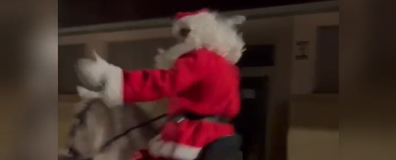 Papá Noel visita Las Casas