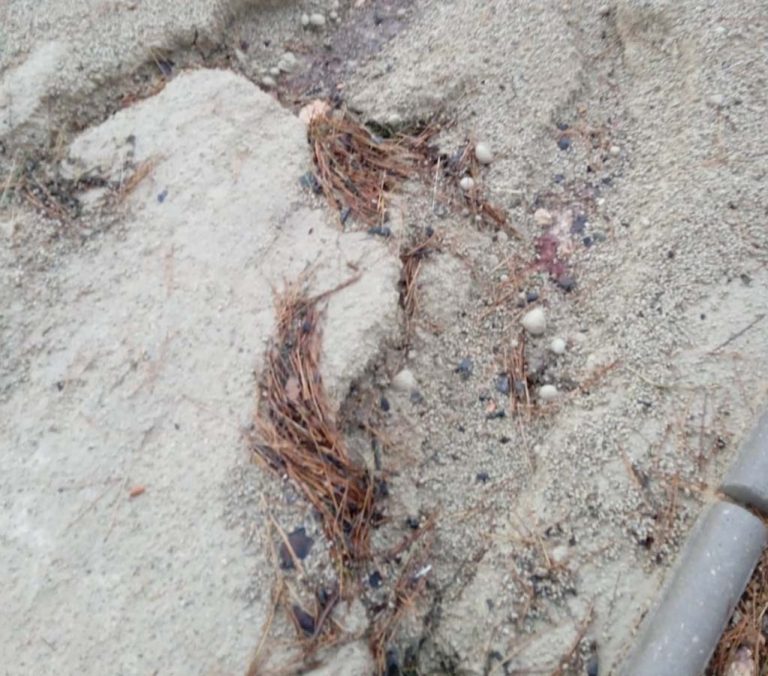 Puertollano: Piden a Ayuntamiento y empresa que subsanen las deficiencias de cobertura del nuevo parque de la Rincona