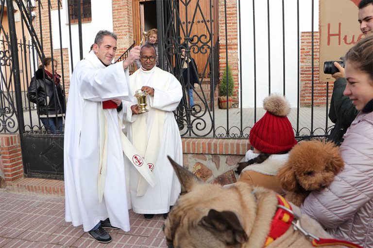 Almodóvar de Campo: Huellas solidarias en las celebraciones de san Antón