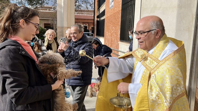 Puertollano: Un conejo, muchos peludos y hasta el gato del cura reciben la bendición de San Antón