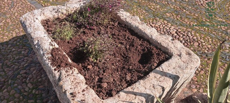 Proliferan los robos de plantas en los jardines de Bolaños de Calatrava y el Ayuntamiento pide colaboración para identificar a autores