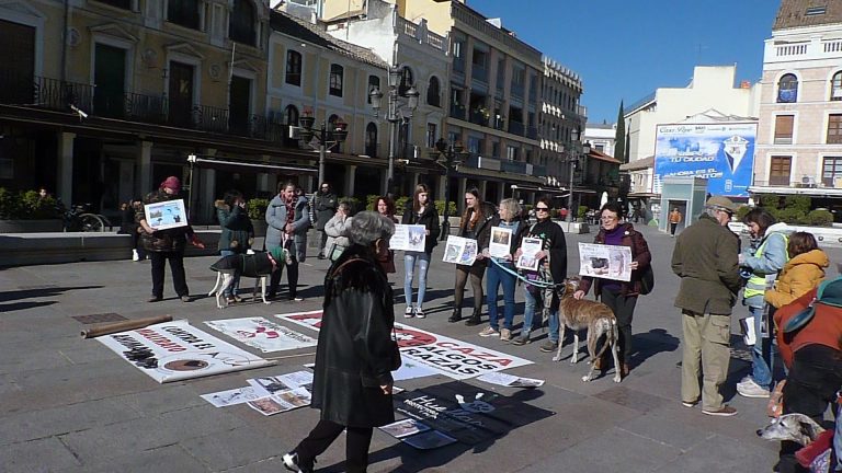 Una manifestación contra la caza rechaza el futuro museo que acogerá Ciudad Real