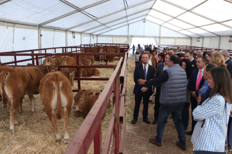 Almodóvar del Campo inaugura la Feria ‘La Cuerda’ como factor de promoción del Valle de Alcudia