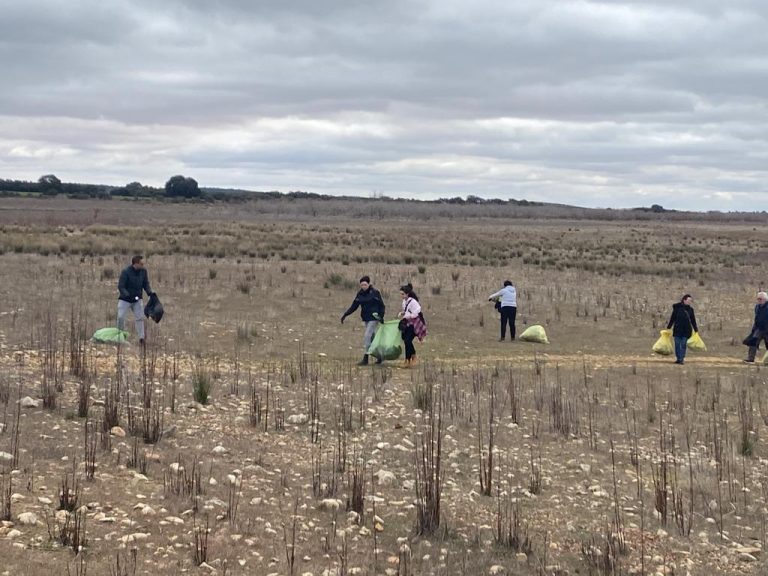 Retirados 150 kilos de basuraleza en El Vicario