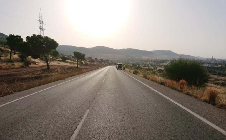 El «punto negro» de la variante del Minero de Puertollano por accidentes causados por ciervos: la responsabilidad, de la finca o del dueño