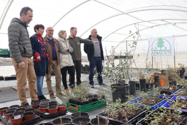 El Gobierno de Castilla-La Mancha organiza numerosas actividades de educación ambiental en las cinco provincias con motivo del Día Internacional de los Bosques