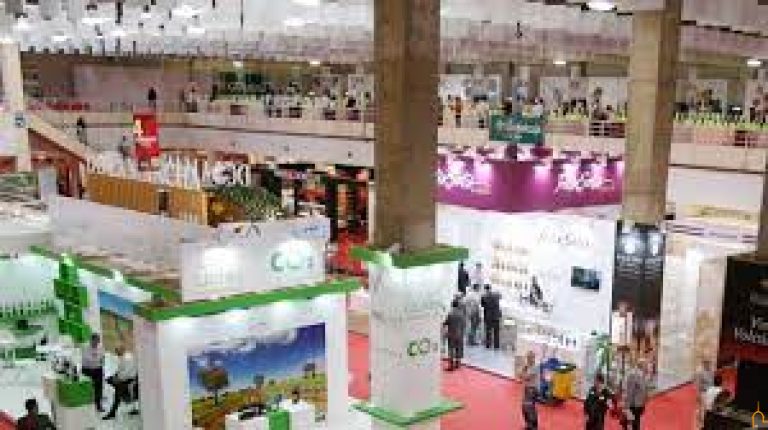 La Organización de FENAVIN estudia los mercados del vino para que la Feria sea un éxito en negocio