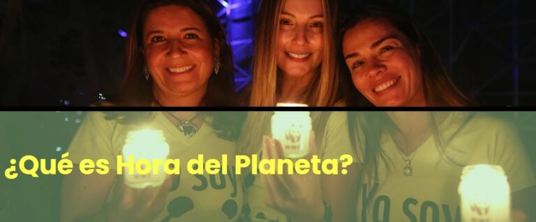 Puertollano apagará sus monumentos más emblemáticos en la Hora del Planeta