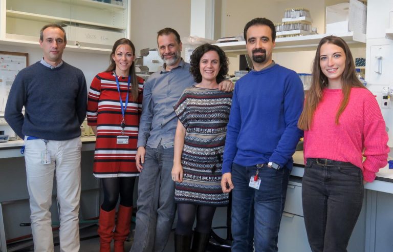 Investigadores de Parapléjicos identifican el potencial de la molécula XIAP para aumentar la supervivencia de las neuronas tras una lesión medular