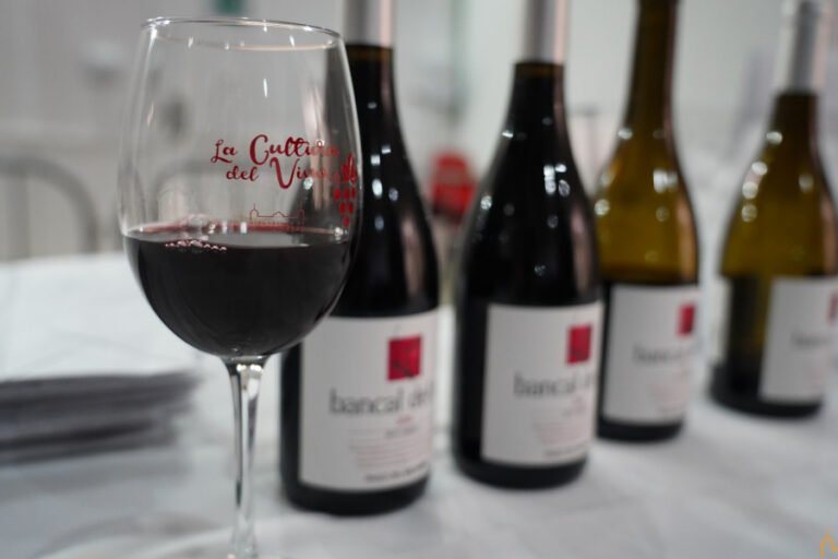 Cuatro propuestas de microteatro se maridan con vino este domingo en Manzanares a través de La Cultura del Vino