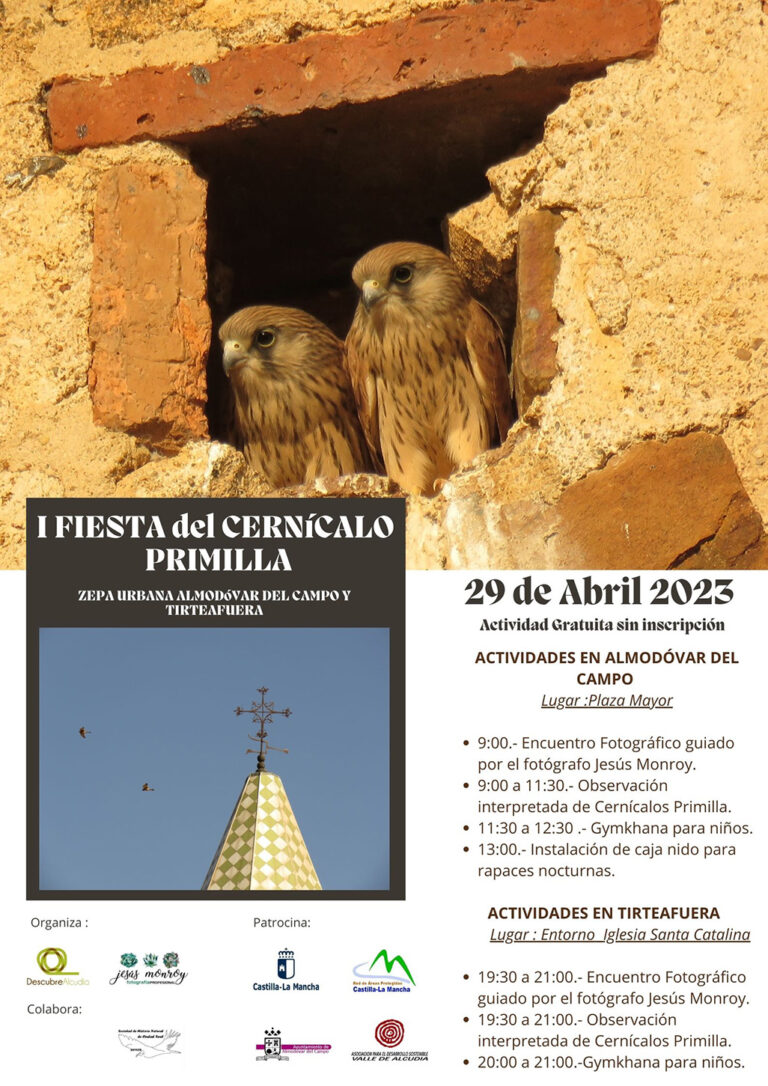 Almodóvar del Campo y Tirteafuera albergarán el sábado 29 de abril la I Fiesta del Cernícalo Primilla