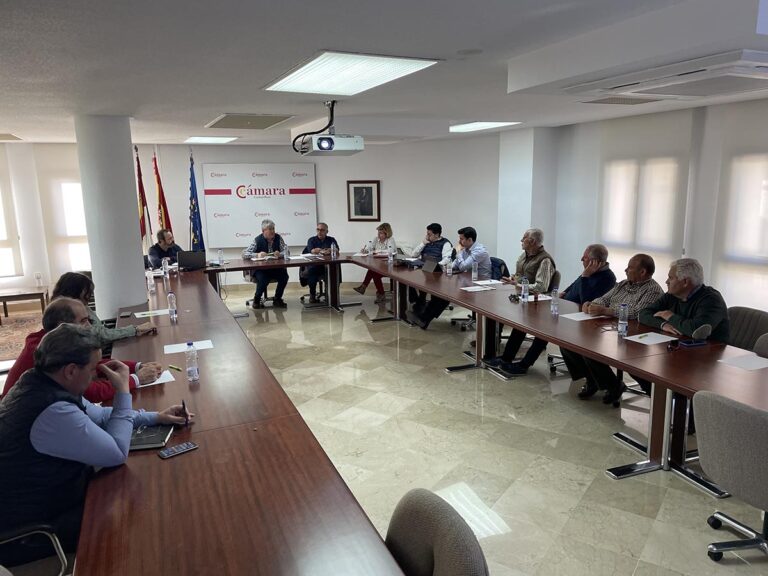 APES apuesta por el futuro del sector con su apoyo a acciones donde la FP y la transición energética sean protagonistas  