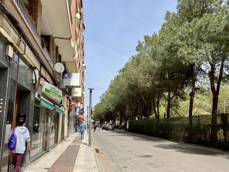 El alcalde de Puertollano anuncia bonificaciones de estacionamiento para clientes y facilidades logísticas para comercios de Paseo del Bosque y Ancha