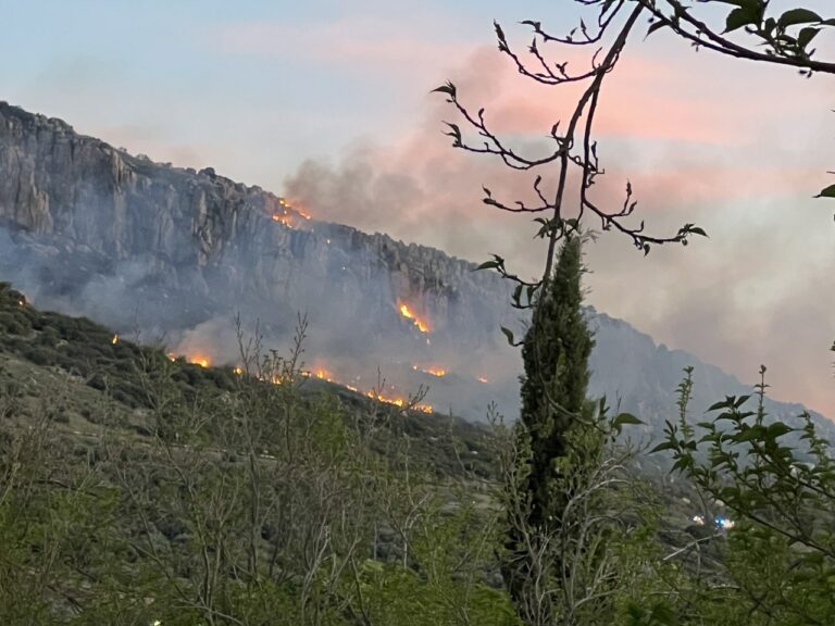 Declarado un importante incendio en el cerro de Santa Ana de Puertollano