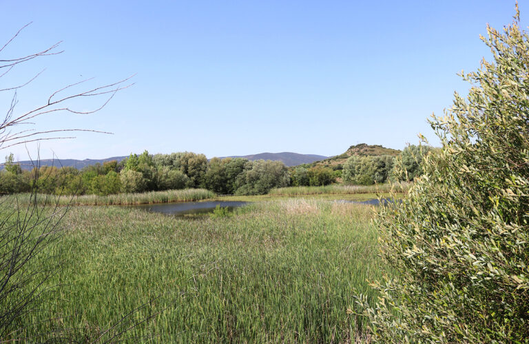 Holcim cede el humedal “El Charco del Tamujo” a Fundación Global Nature