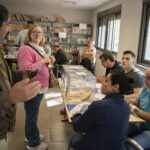 Elecciones municipales – 15