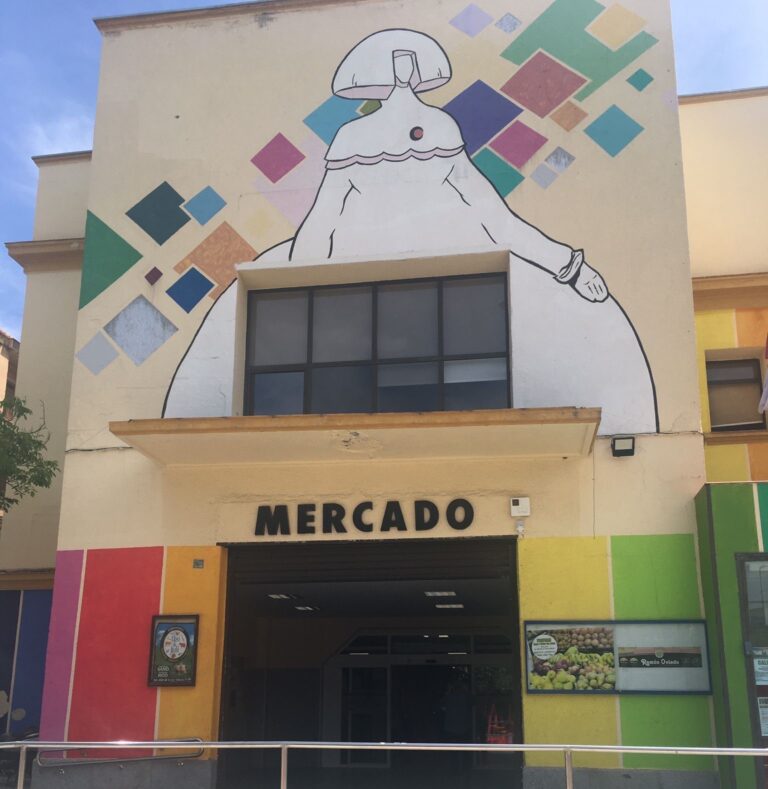 Vox Puertollano se interesa por la “preocupante” situación del mercado municipal