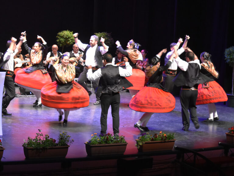Ciudad Real homenajea a la naturaleza, a la primavera y a la vida en la XXVII edición del Certamen de Mayos 