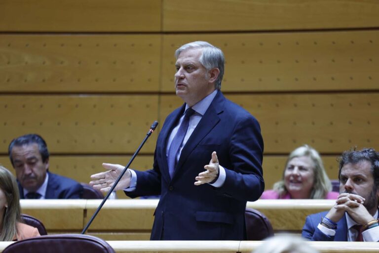 Cañizares: “La parálisis en las infraestructuras de Ciudad Real demuestran el nulo peso político del gobierno municipal”