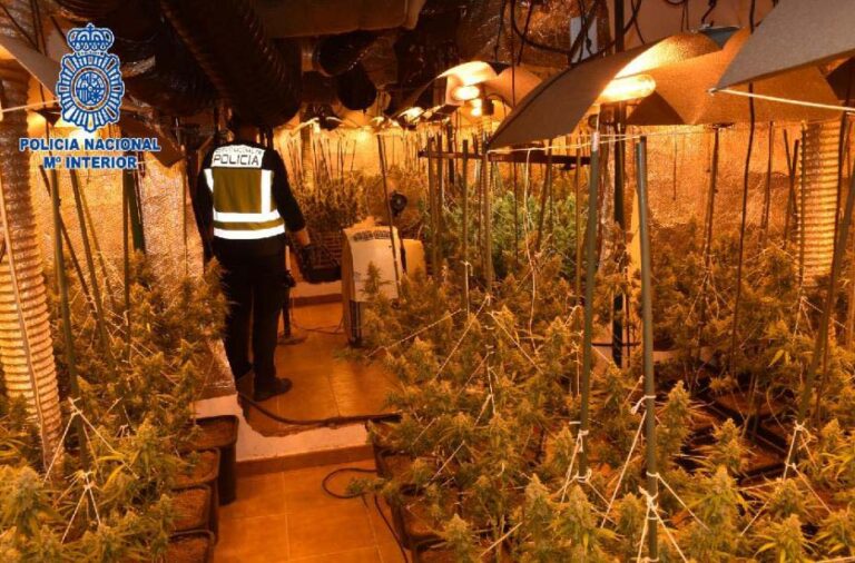 La Policía Nacional desmantela una plantación de marihuana en Alcázar de San Juan