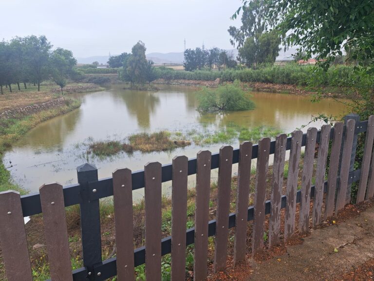 Cuando el Ojailén… buena señal de agua 