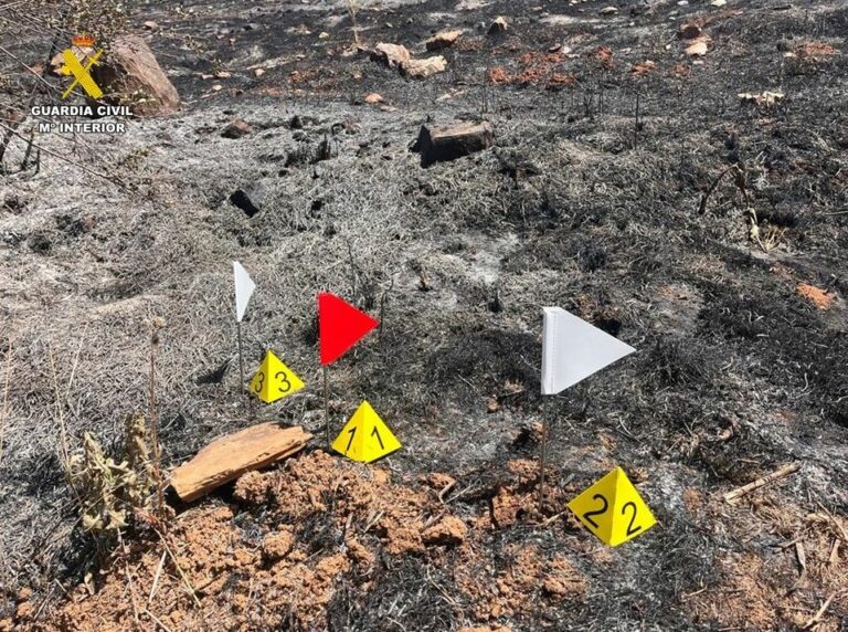 SEPRONA investiga a tres personas por un delito de incendio forestal por imprudencia grave