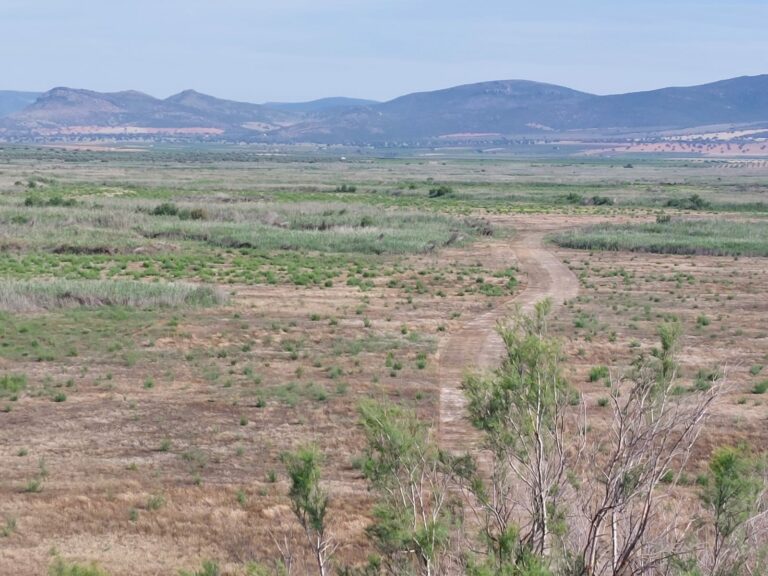 En el 50 aniversario del Parque Nacional, las Tablas de Daimiel se mueren (las matan)