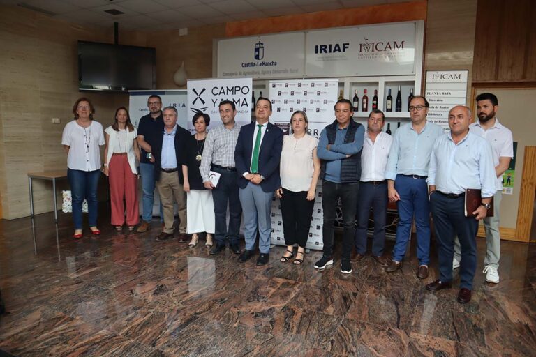 Castilla-La Mancha consigue 43 millones de euros para reestructuración de viñedo, la cifra más alta de la historia